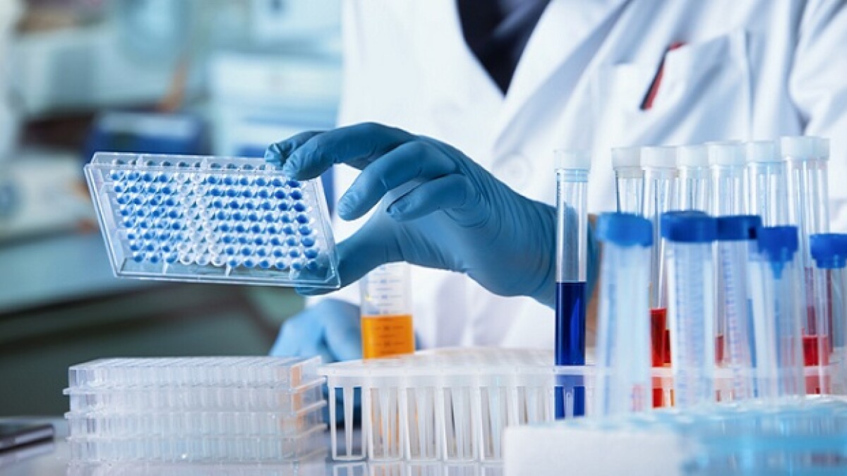 BS Medical Laboratory Technology (MLT)